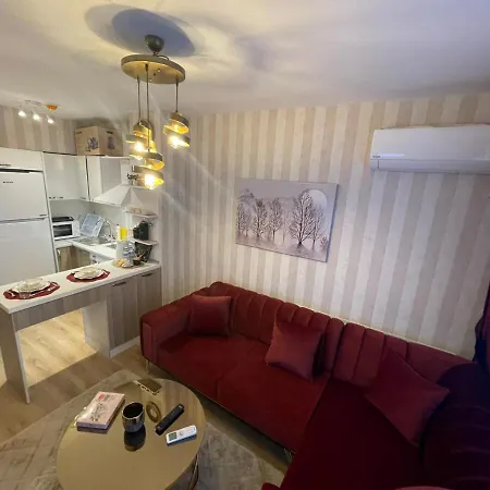 Classic Ss5 Apartment Istanbul