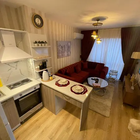 Classic Ss5 Apartment *